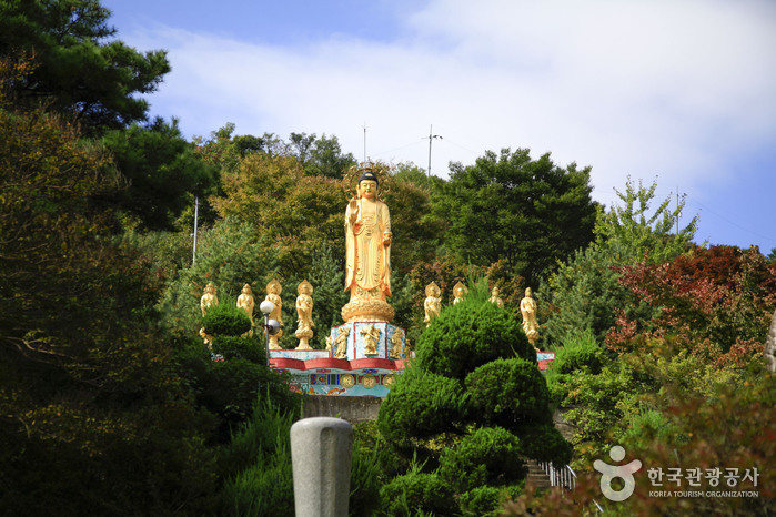 보현사(청도) 이미지 3