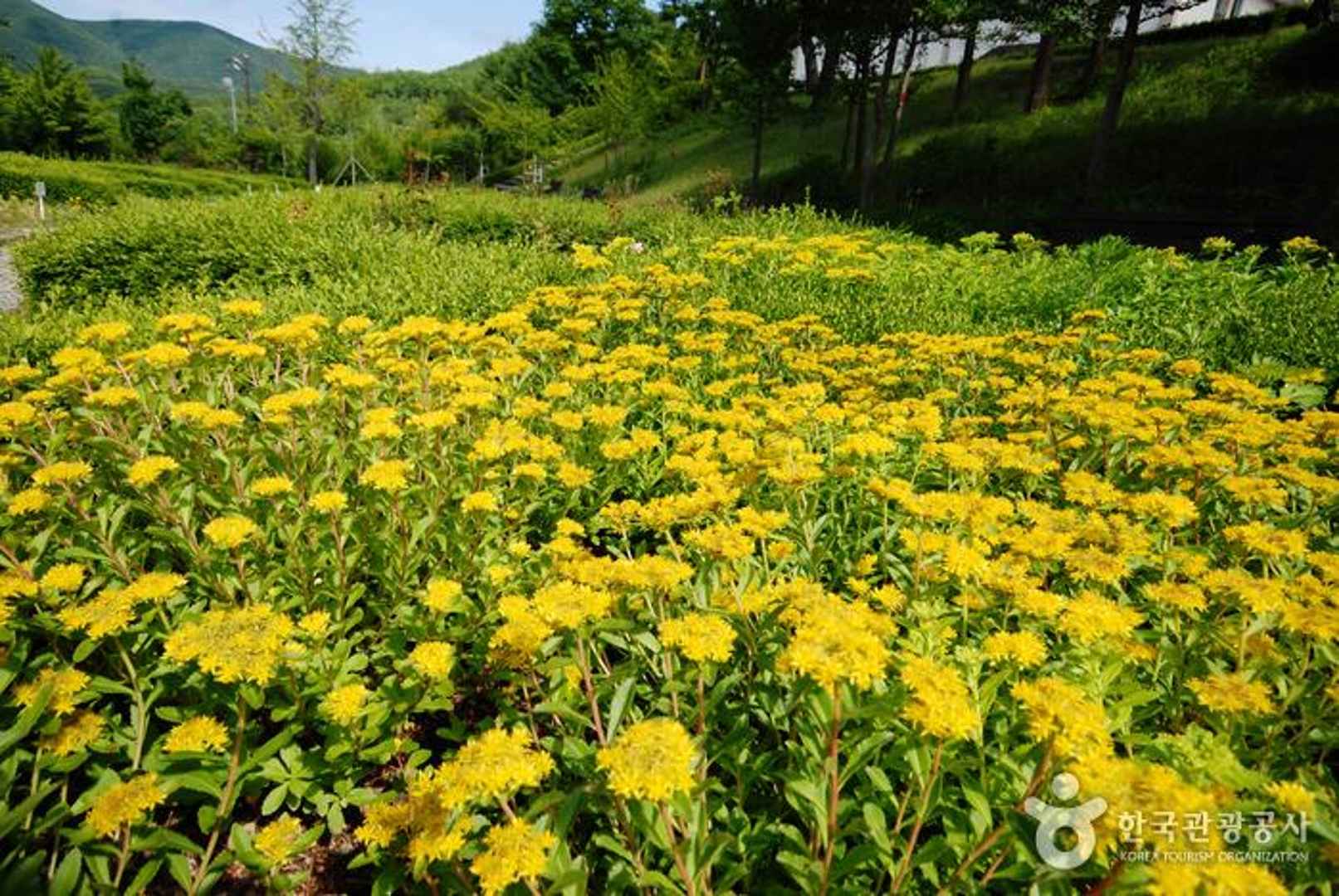 경상북도수목원 이미지 7