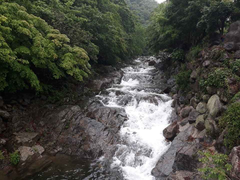 백운산 어치계곡 이미지 4