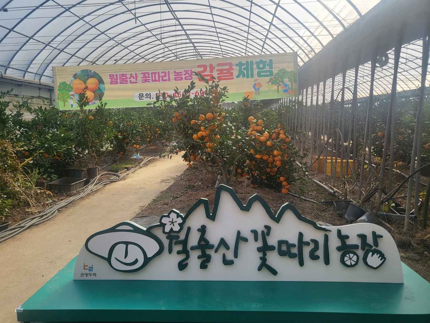 월출산꽃따리농장 이미지 2