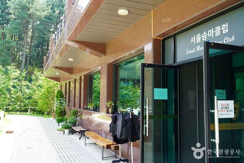 서울승마클럽 이미지 3