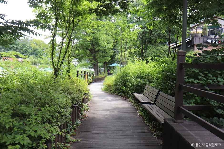 고기리계곡 이미지 5