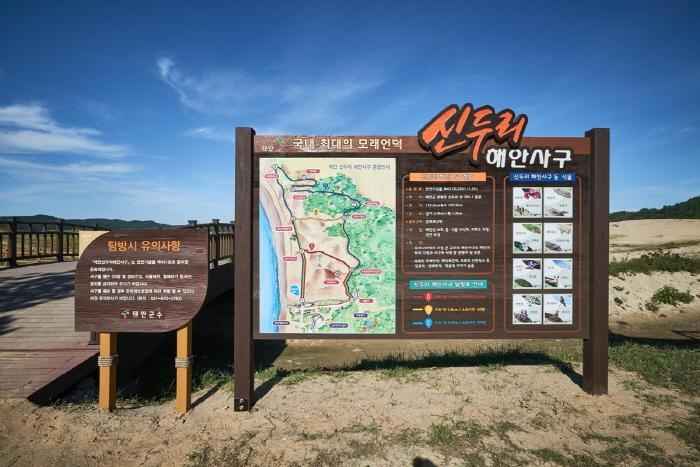 신두리해수욕장 이미지 6