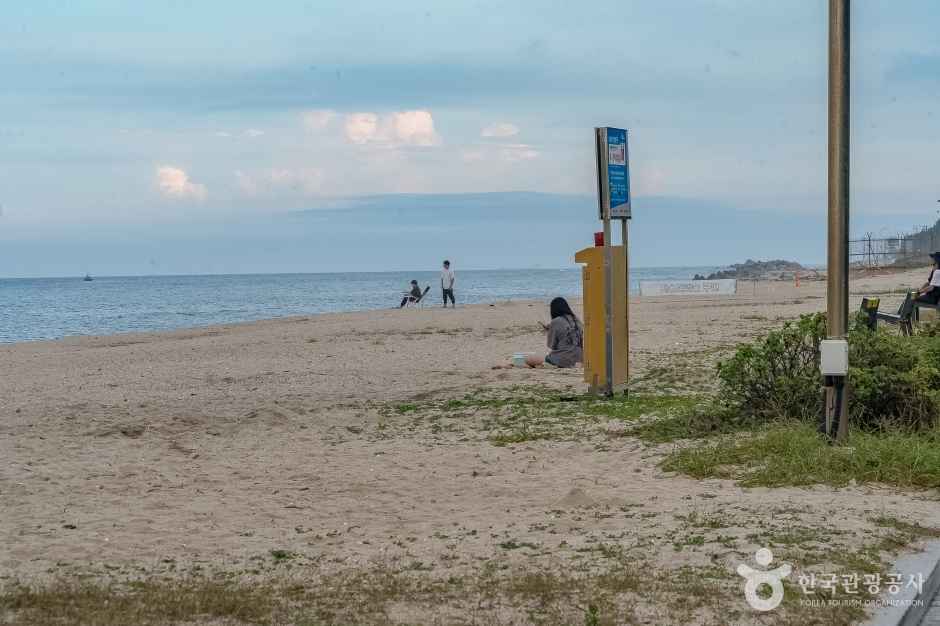 연곡해변(연곡해수욕장) 이미지 4