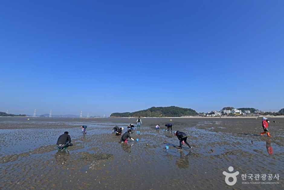 선재도(선재도 어촌체험마을) 이미지 3