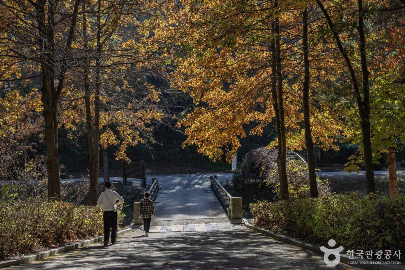 미동산수목원 이미지 6