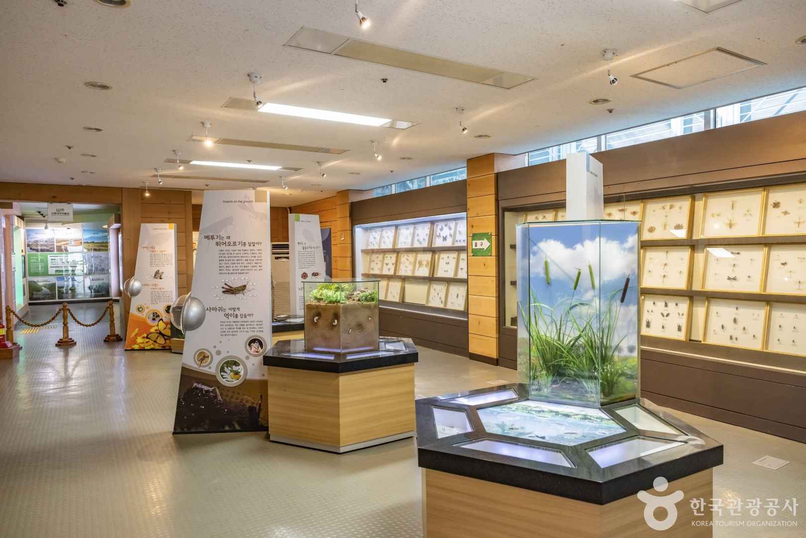 미동산수목원 이미지 7