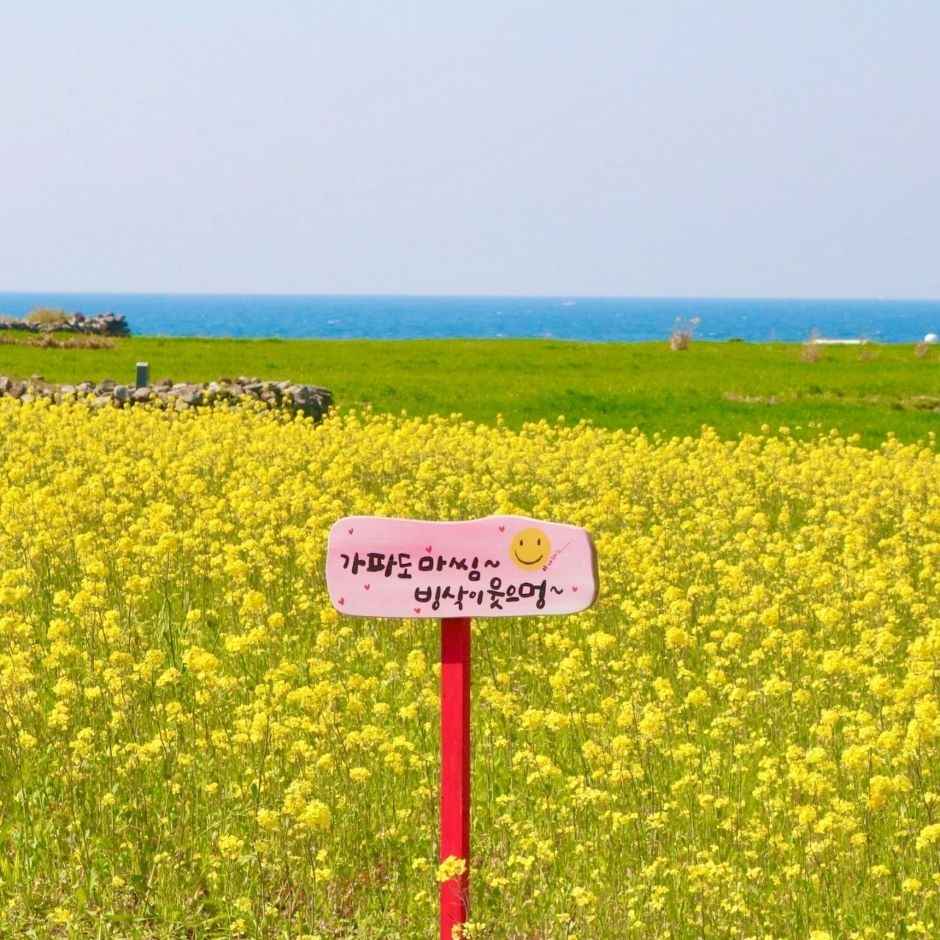 가파도 소망전망대 이미지 3