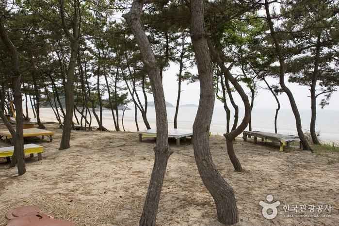 독산해수욕장(홀뫼해수욕장) 이미지 4