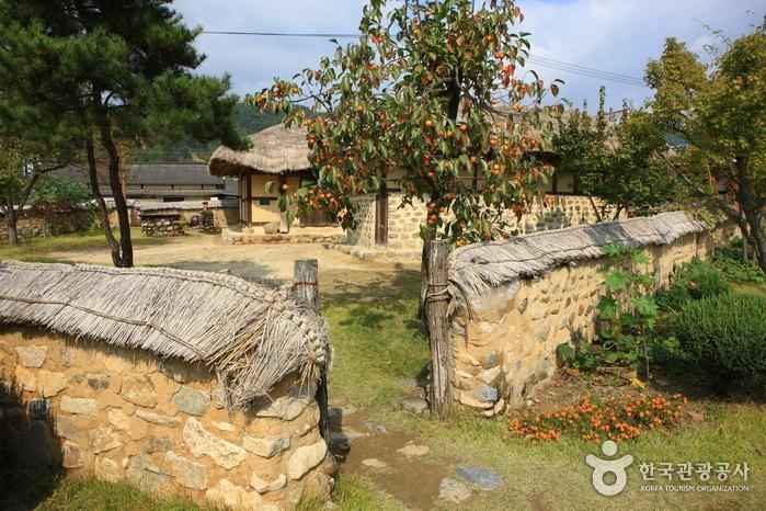 옥천 향수 100리 자전거길(금강코스) 이미지 1