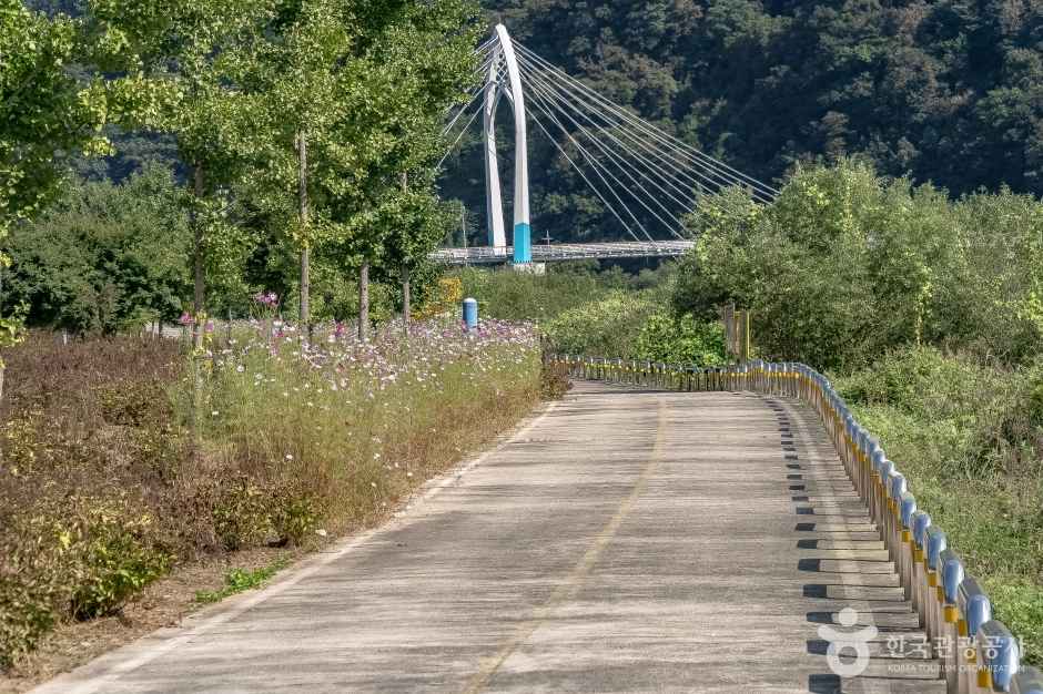 화천 파로호 자전거 100리길 이미지 4