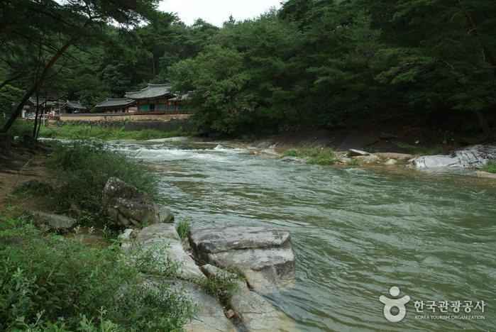 석천계곡 이미지 2