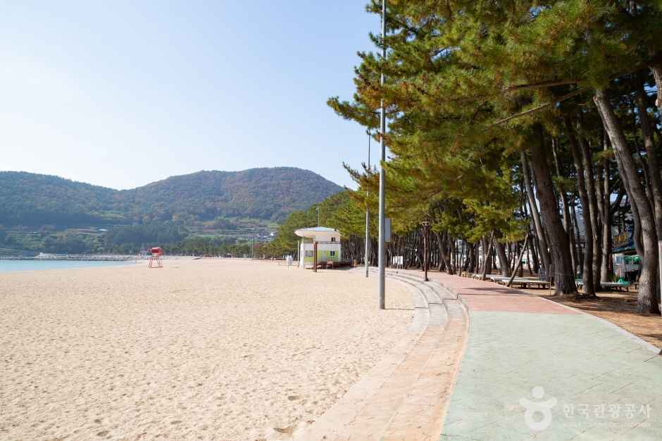 상주은모래비치 이미지 3