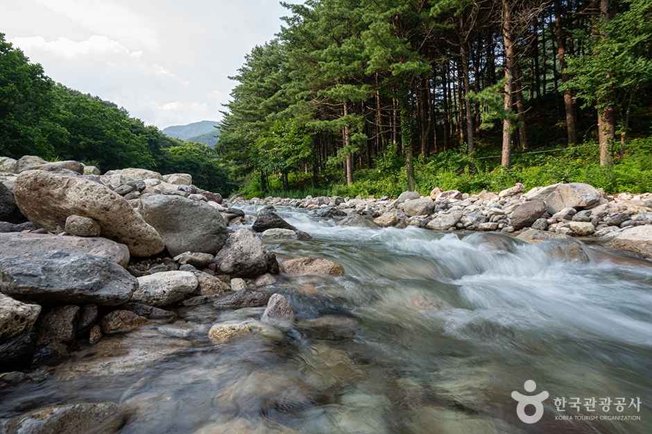 지장계곡 이미지 1