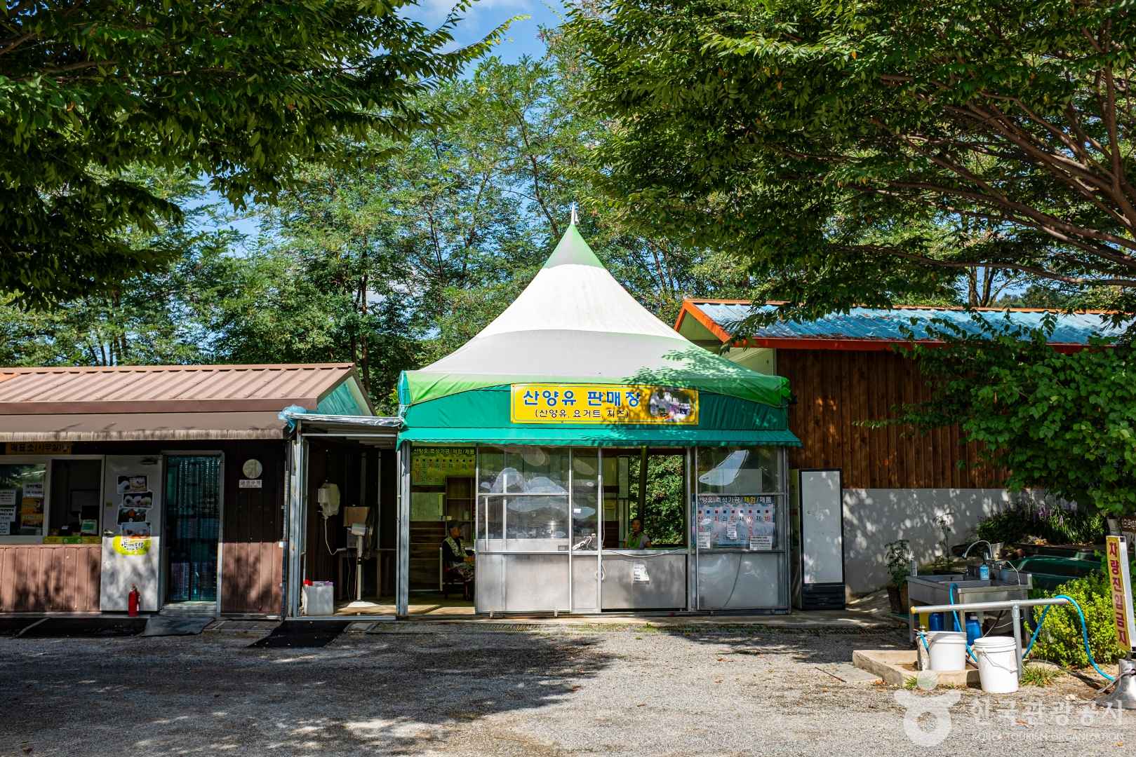 칠곡양떼목장 이미지 4