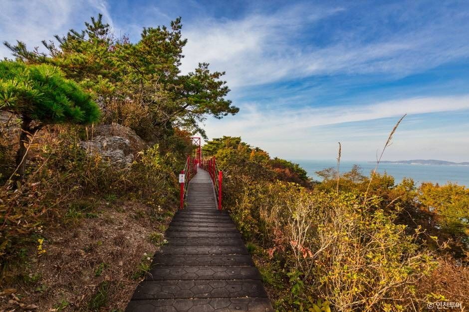 부아산 구름다리 이미지 3