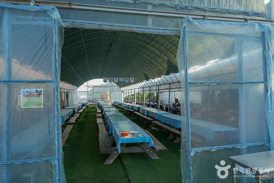 강화도 자연체험농장 이미지 6