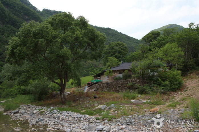 덕산기 계곡 이미지 3