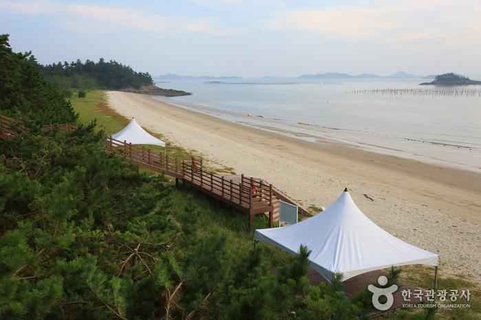 암태 추포해수욕장 이미지 5