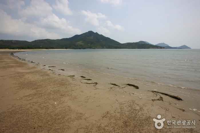 도초 시목해수욕장 이미지 2
