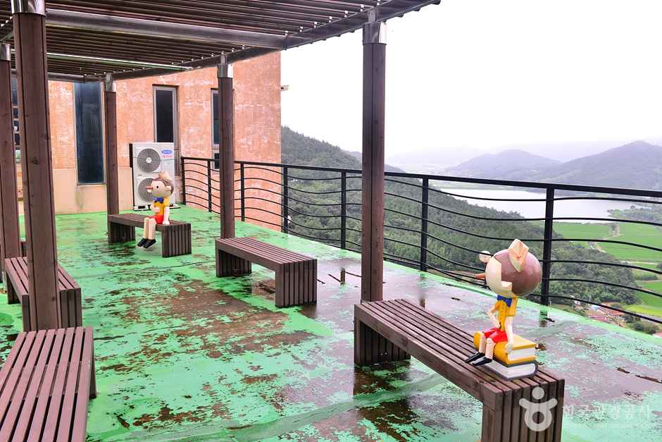 보성 차밭 전망대 이미지 2