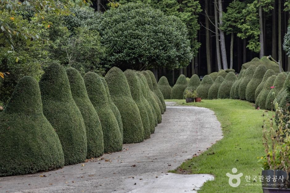 남해토피아랜드 이미지 6