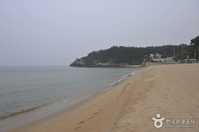 증산해변(증산 해수욕장) 이미지 4