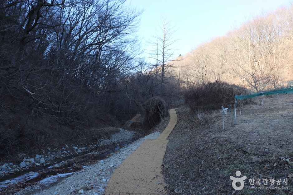 경주 왕의 길 이미지 4