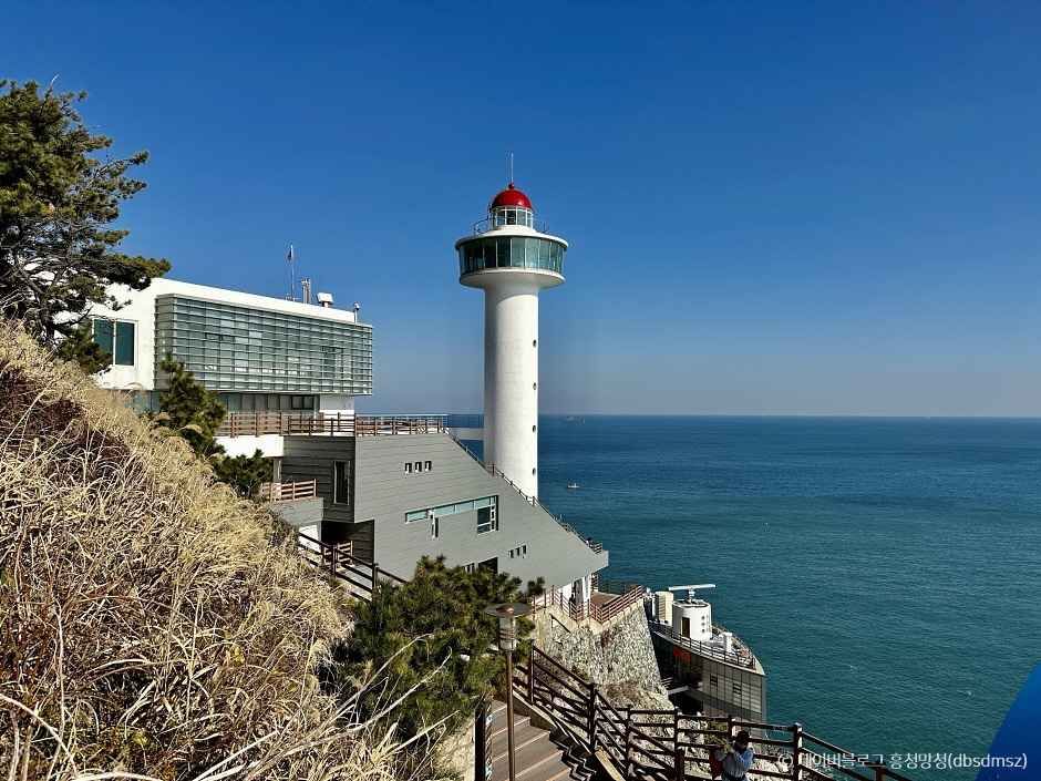 태종대 전망대 이미지 1