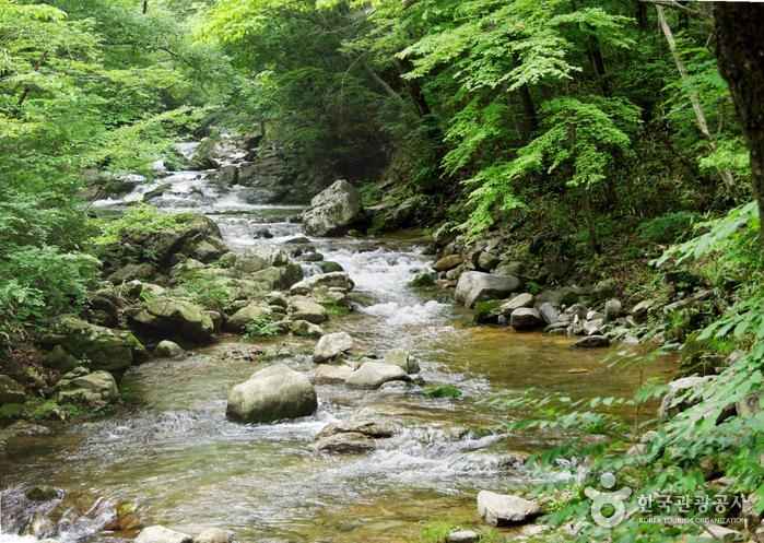 선암사계곡 이미지 1