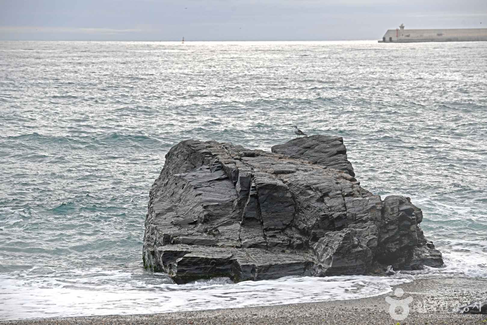 오분해변 이미지 2