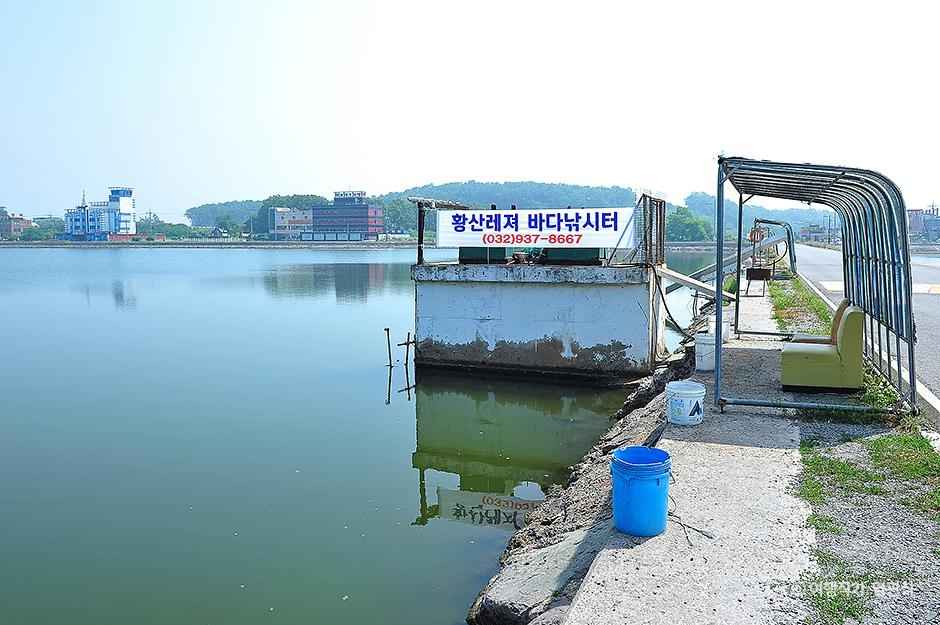 황산레저바다낚시터 이미지 5