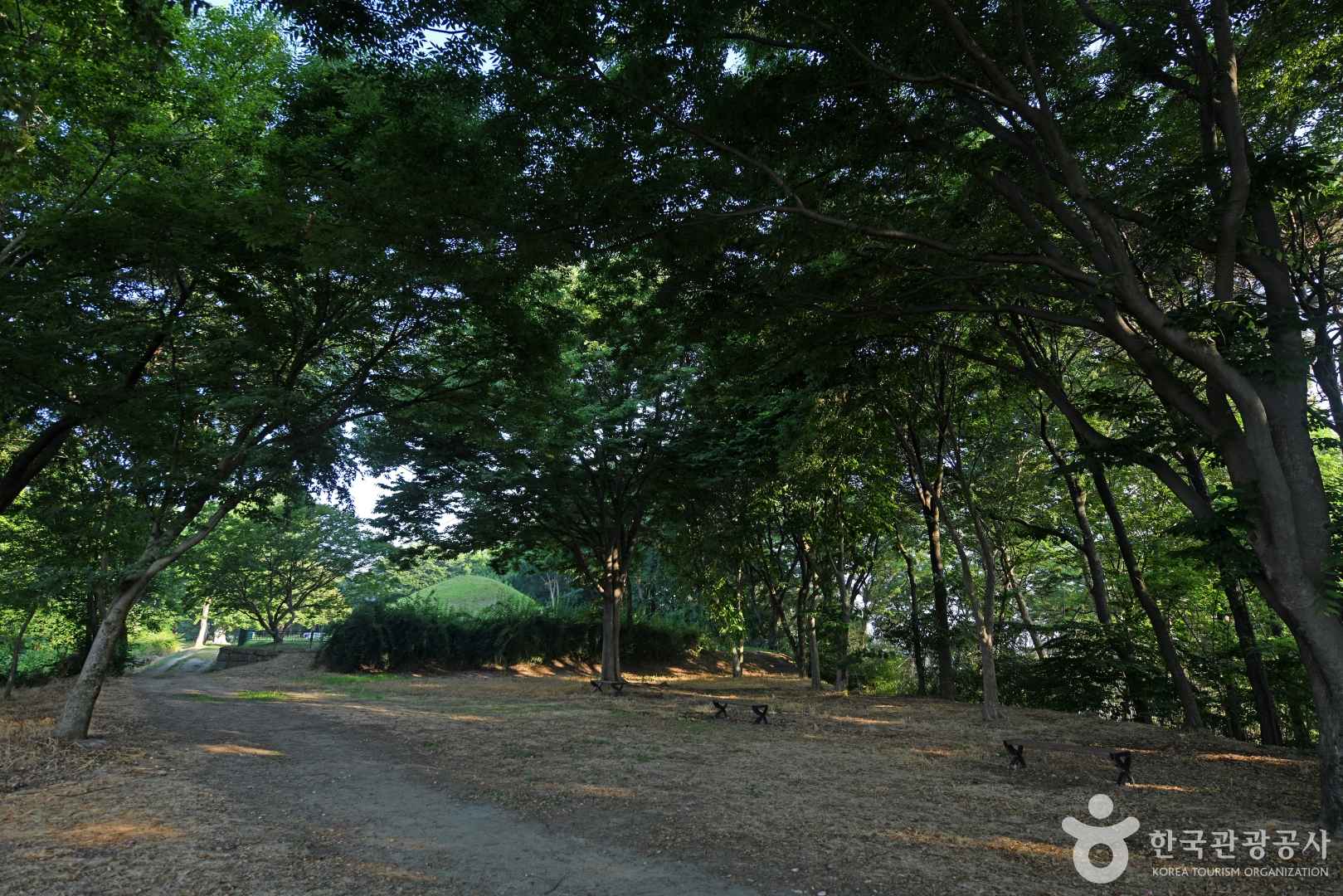 전견훤묘(견훤왕릉) 이미지 7