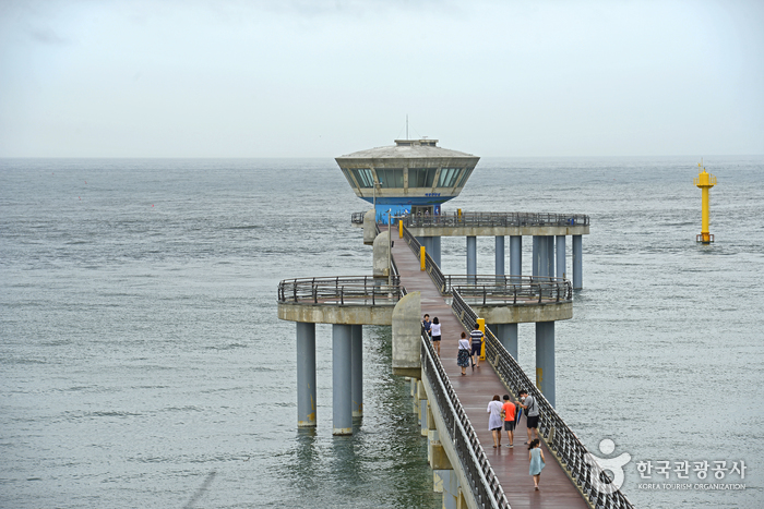 울진 국립해양과학관 이미지 9