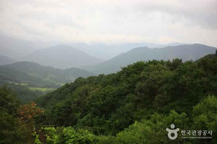 오도재와 지리산조망공원 이미지 4