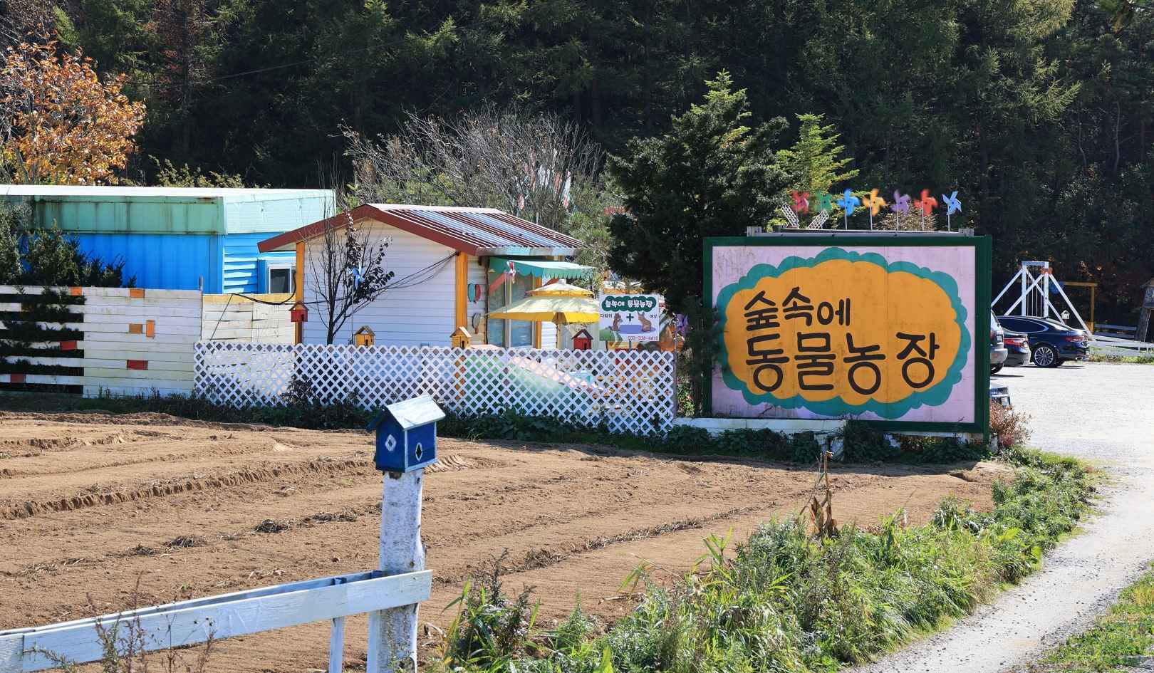 숲속에 동물농장 이미지 5