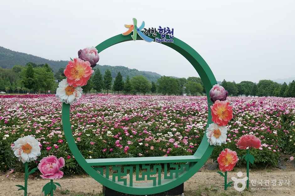 핫들생태공원 이미지 7