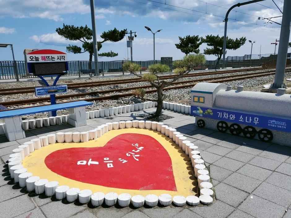 정동진 레일바이크 이미지 7