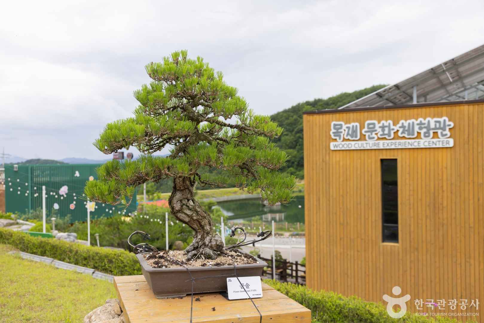 양구수목원 이미지 5