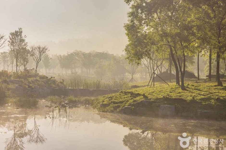고창 운곡람사르습지 이미지 10