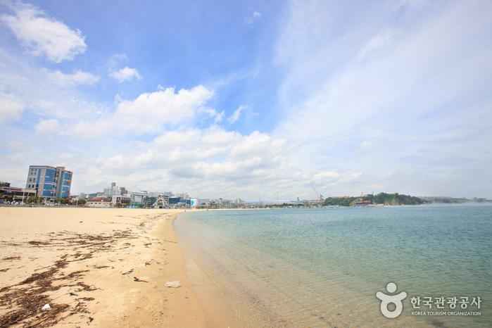 일산해수욕장(울산) 이미지 5