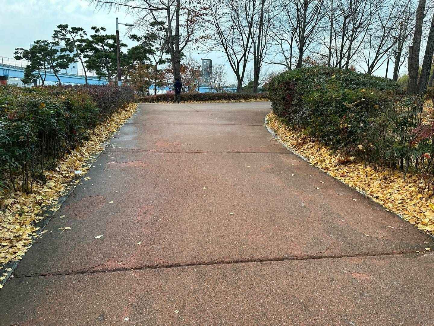 월미공원 월미전망대 이미지 5