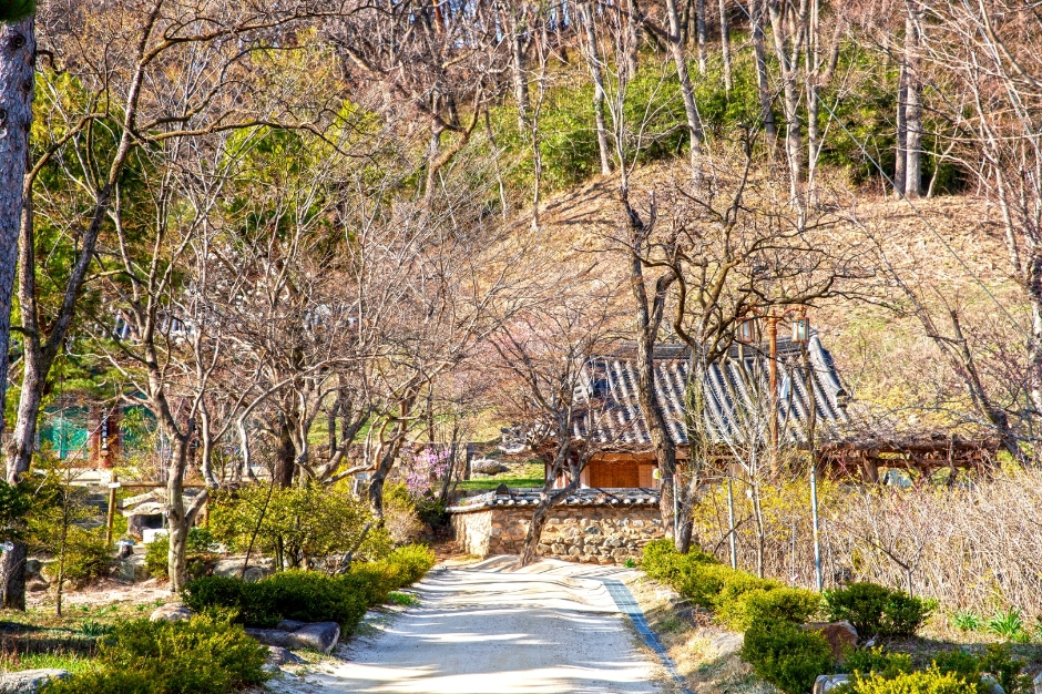 직지사 이미지 7