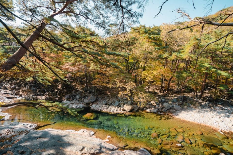 대원사계곡길 이미지 4