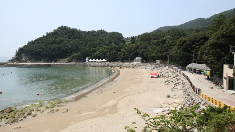 가사동백숲해변 이미지 2