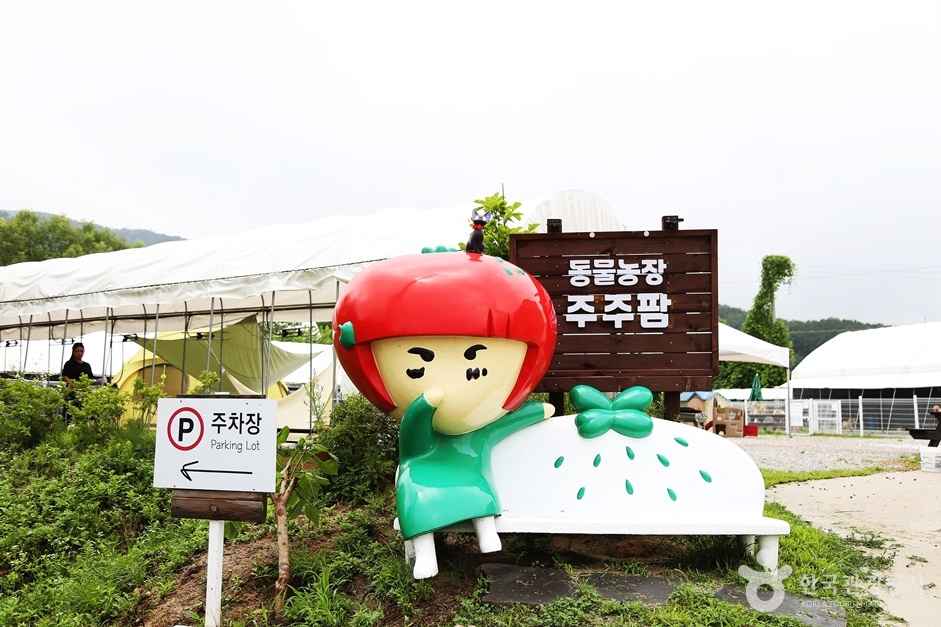 주주팜 동물농장 이미지 1