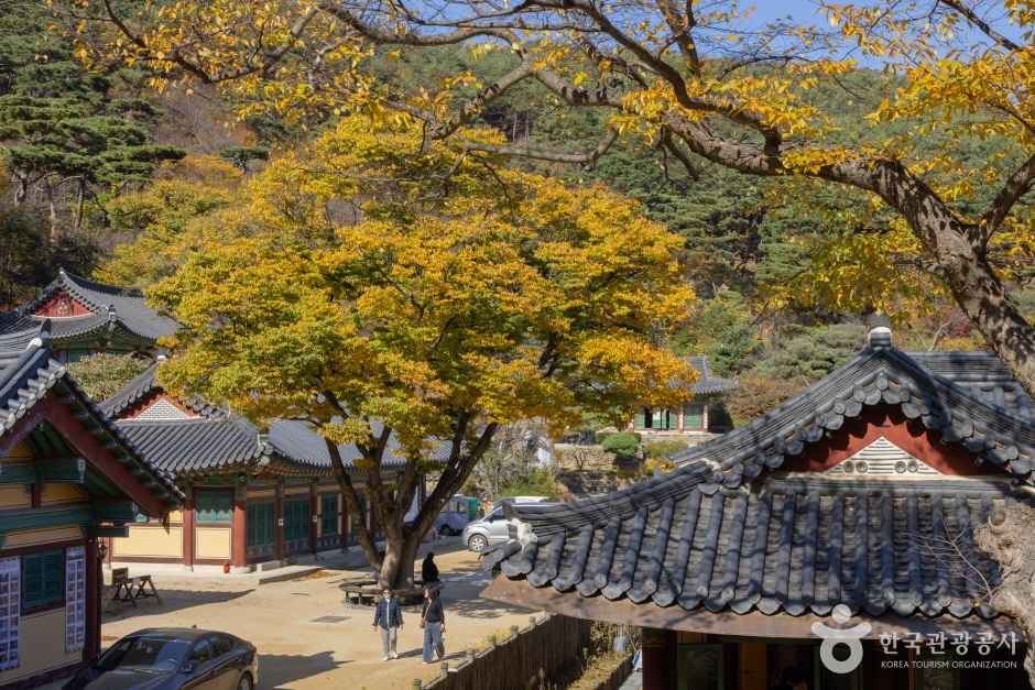 강화 전등사 이미지 3