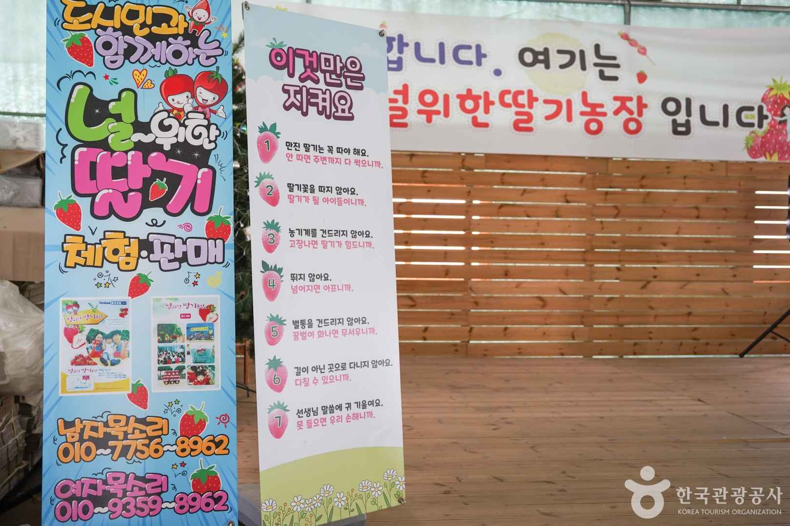 널위한딸기농장 이미지 2