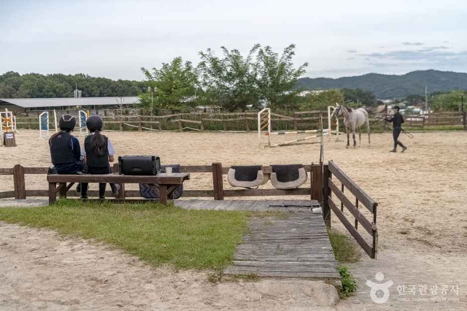 스티븐승마클럽 이미지 5