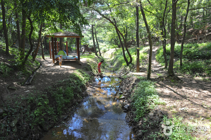 문수산산림욕장 이미지 4
